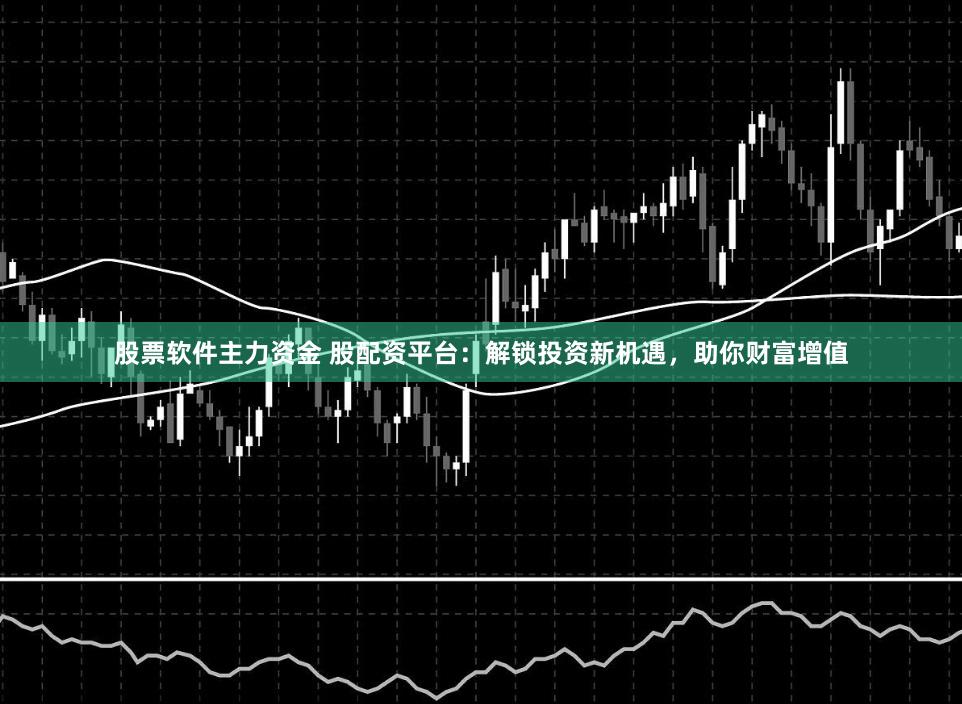 股票软件主力资金 股配资平台：解锁投资新机遇，助你财富增值