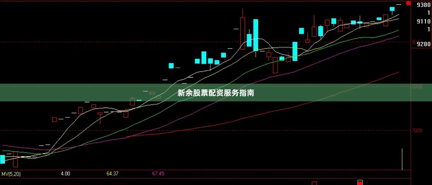 新余股票配资服务指南